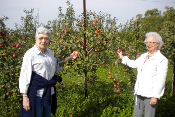 Life Enrichment Photo